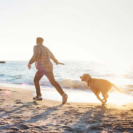 Boddenzeit - Moderne Mit Nordbalkon, Wellnessbereich Und Naehe Zum Ostseestrand * Wustrow (Fischland)